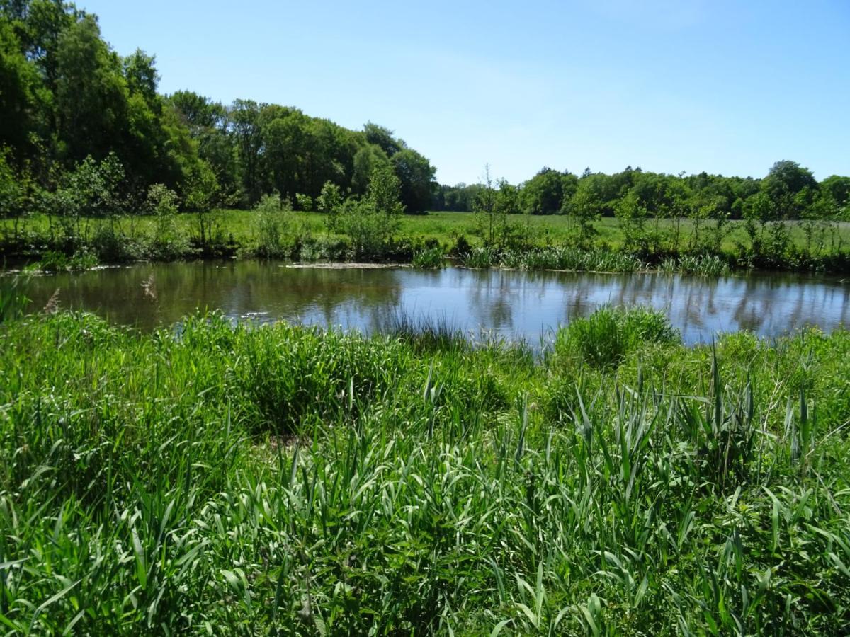 Haus Wald Und Wiese Wohnung Wiese Ehndorf Eksteriør billede