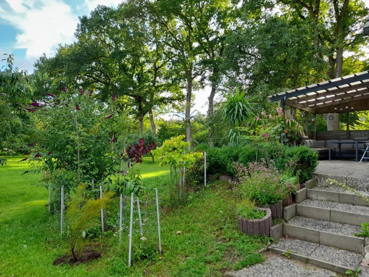 Haus Wald Und Wiese Wohnung Wiese Ehndorf Eksteriør billede