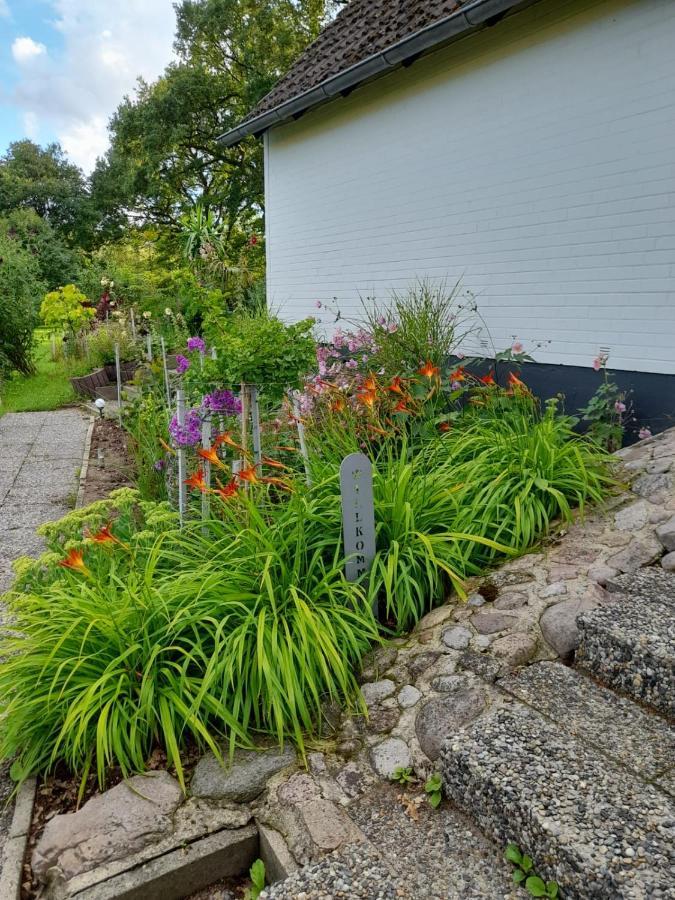 Haus Wald Und Wiese Wohnung Wiese Ehndorf Eksteriør billede